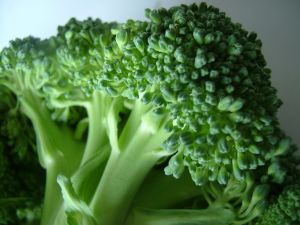 broccoli 470251 m